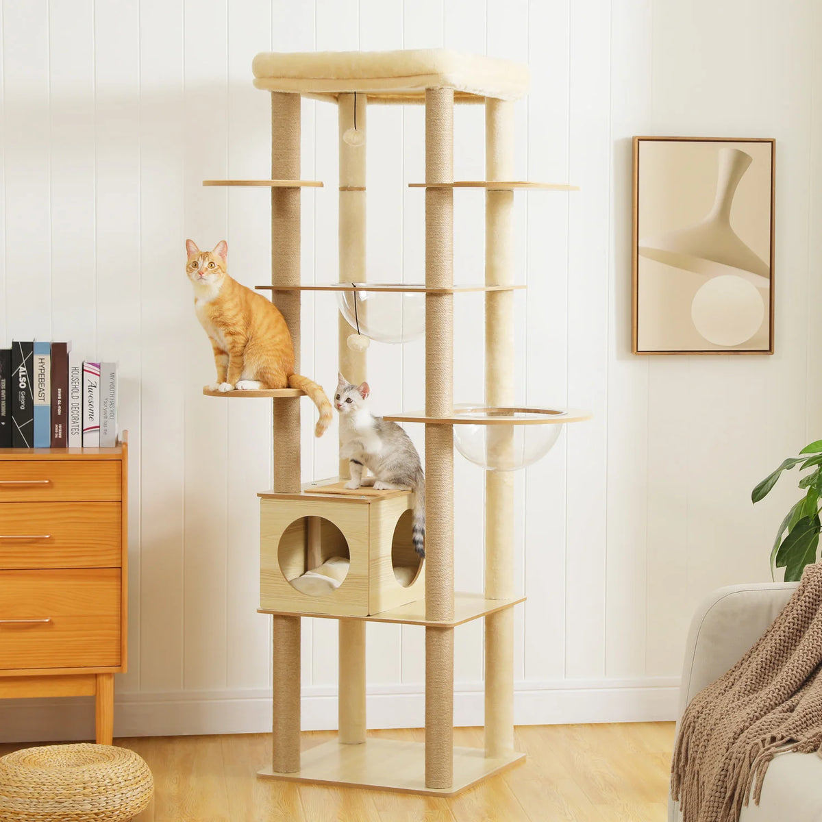 Arbre à Chat en Bois 180 cm – Hamac Transparent, Niche & Perchoir XXL