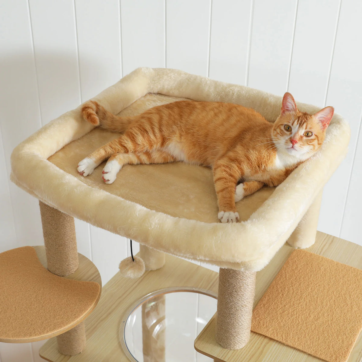 Arbre à Chat en Bois 180 cm – Hamac Transparent, Niche & Perchoir XXL