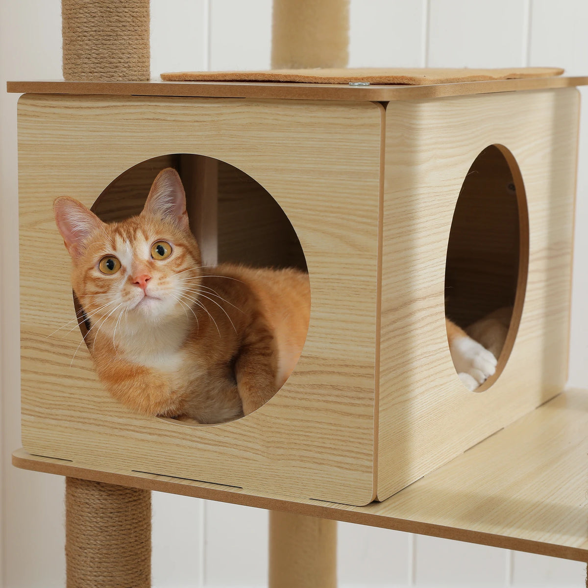 Arbre à Chat en Bois 180 cm – Hamac Transparent, Niche & Perchoir XXL