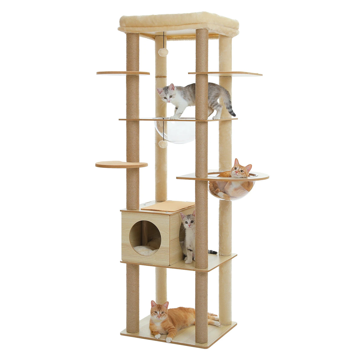 Arbre à Chat en Bois 180 cm – Hamac Transparent, Niche & Perchoir XXL