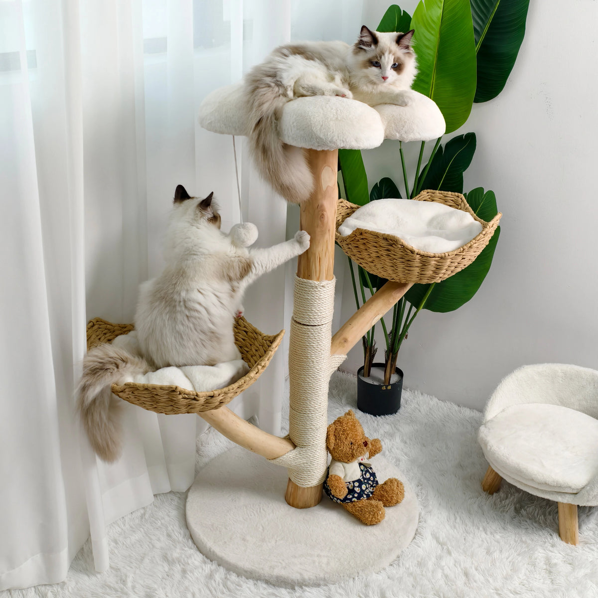 Arbre à Chat en Osier 111 cm – Coussin Peluche, Griffoir Sisal & Maison de Jeu